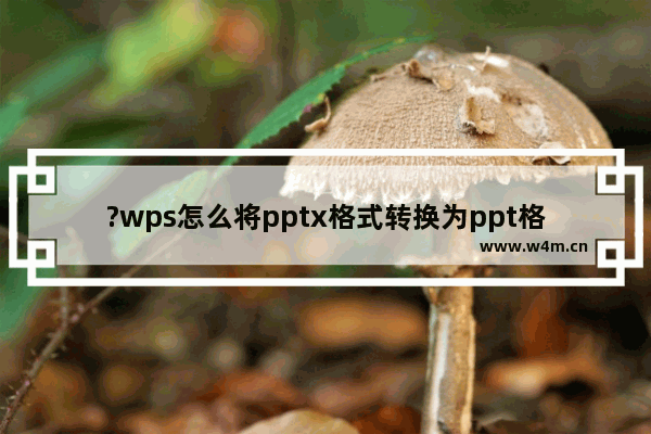 ?wps怎么将pptx格式转换为ppt格式-wps软件将pptx格式转变成ppt格式的方法