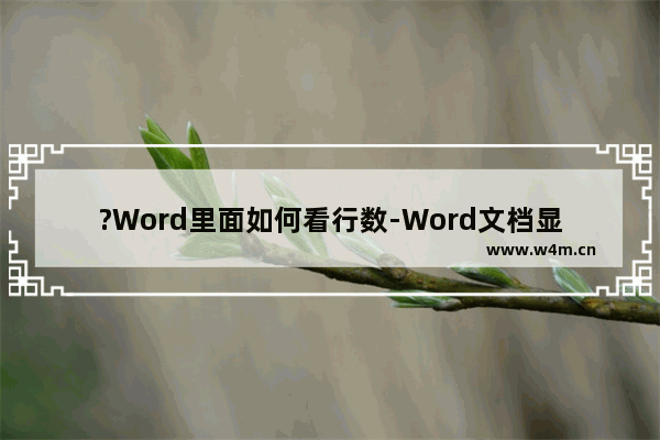 ?Word里面如何看行数-Word文档显示行数的方法教程