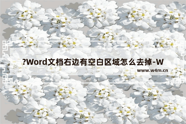 ?Word文档右边有空白区域怎么去掉-Word文档去除右侧空白的方法教程