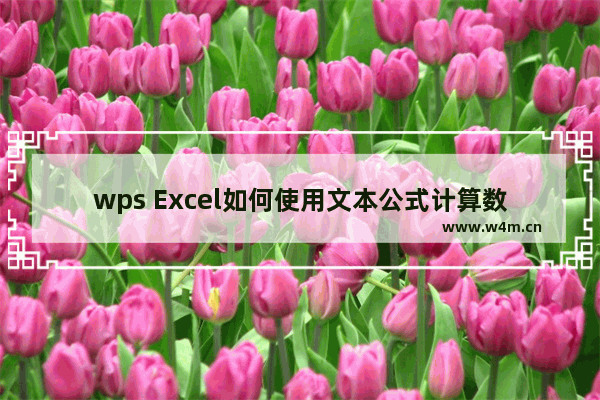 wps Excel如何使用文本公式计算数据-wps Excel让文本公式计算出结果方法