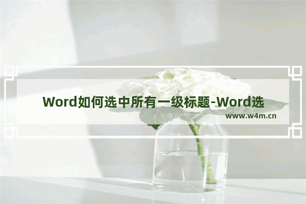 Word如何选中所有一级标题-Word选中所有一级标题的方法