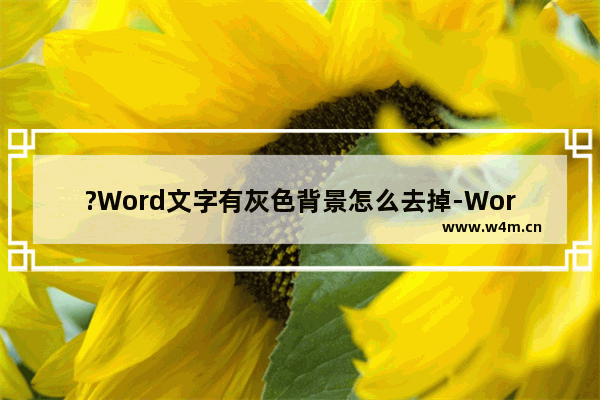 ?Word文字有灰色背景怎么去掉-Word文档去除文字灰色背景的方法教程