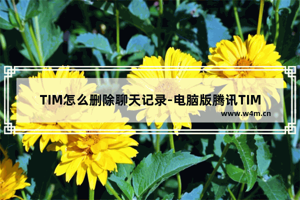 TIM怎么删除聊天记录-电脑版腾讯TIM删除聊天记录的方法