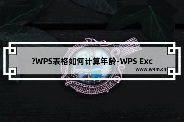 ?WPS表格如何计算年龄-WPS Excel算年龄的方法教程