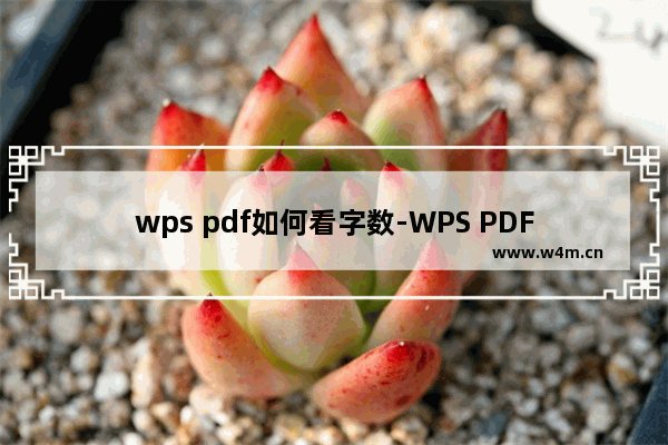 wps pdf如何看字数-WPS PDF中查看统计文档字数的方法