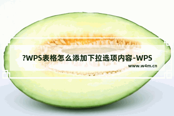 ?WPS表格怎么添加下拉选项内容-WPS Excel添加下拉选项内容的方法教程