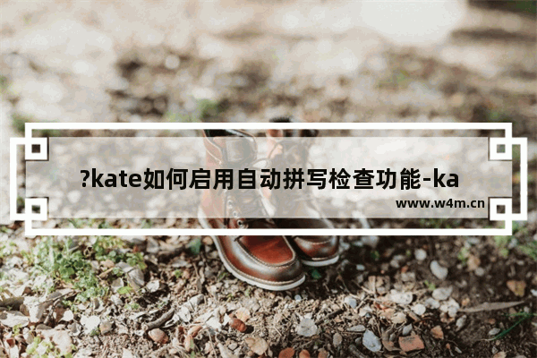 ?kate如何启用自动拼写检查功能-kate设置拼写检查功能的方法