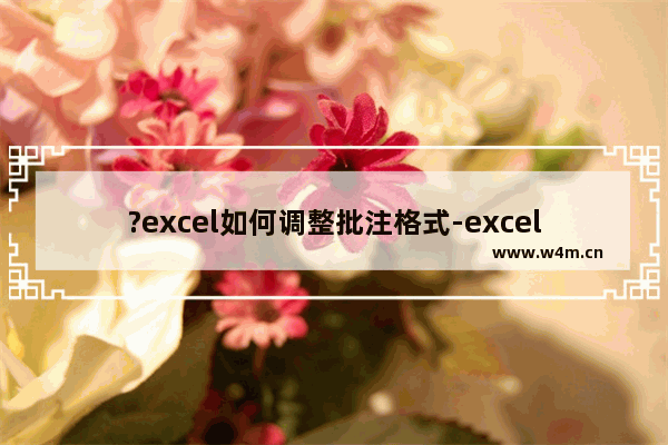 ?excel如何调整批注格式-excel设置批注格式的方法