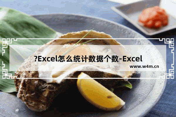 ?Excel怎么统计数据个数-Excel中统计数据个数的方法教程