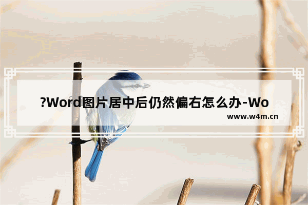 ?Word图片居中后仍然偏右怎么办-Word文档让图片居中时在正中间的方法教程