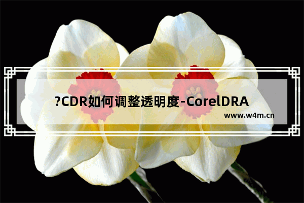 ?CDR如何调整透明度-CorelDRAW调整透明度的方法