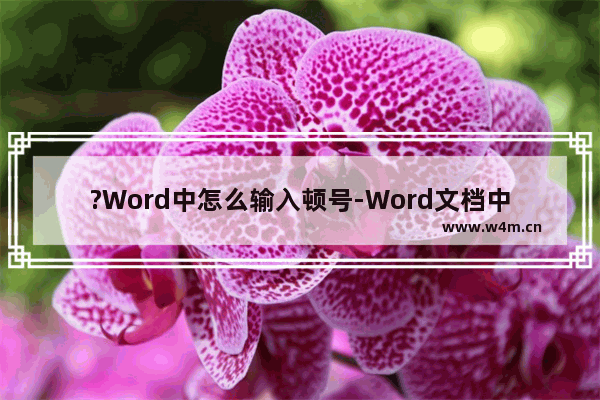 ?Word中怎么输入顿号-Word文档中打顿号的方法教程