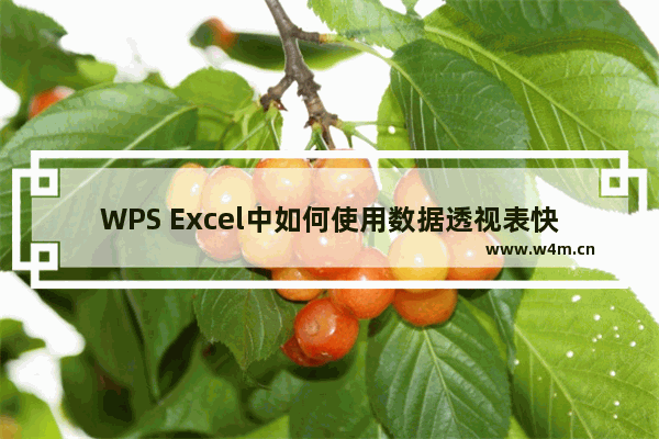 WPS Excel中如何使用数据透视表快速汇总-WPS Excel中使用数据透视表快速汇总的方法