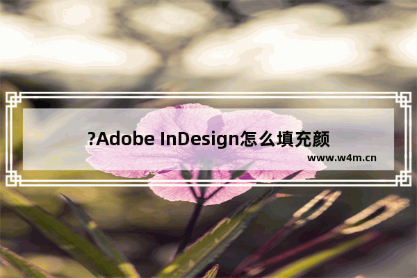 ?Adobe InDesign怎么填充颜色-?InDesign给元素填色的方法