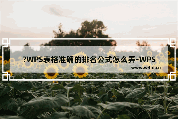 ?WPS表格准确的排名公式怎么弄-WPS Excel中计算排名名次的方法教程