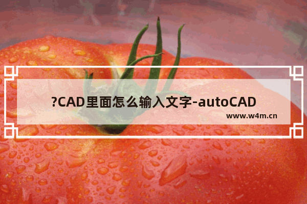 ?CAD里面怎么输入文字-autoCAD中输入文字内容的方法教程