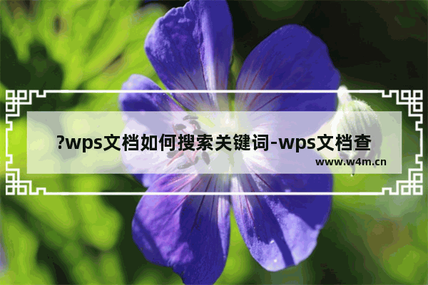 ?wps文档如何搜索关键词-wps文档查找内容的方法