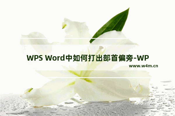 WPS Word中如何打出部首偏旁-WPS Word中打出部首偏旁的方法