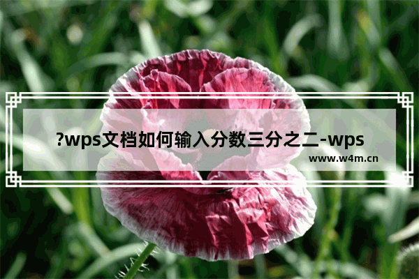 ?wps文档如何输入分数三分之二-wps文档插入分数的方法