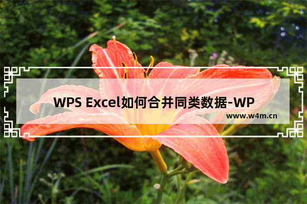 WPS Excel如何合并同类数据-WPS Excel快速合并同类数据的方法