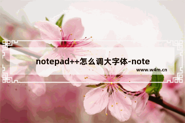 notepad++怎么调大字体-notepad++设置字体大小的方法