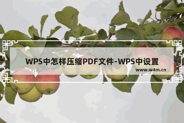 WPS中怎样压缩PDF文件-WPS中设置压缩PDF文档大小的方法