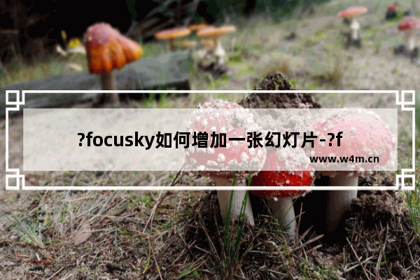 ?focusky如何增加一张幻灯片-?focusky新增空白项目的方法