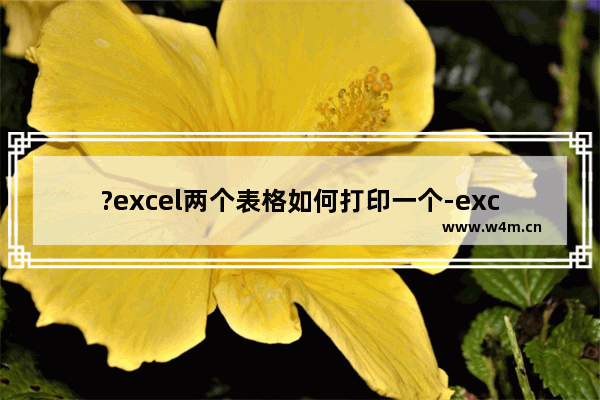 ?excel两个表格如何打印一个-excel设置表格打印区域的方法