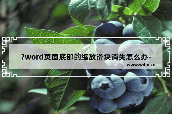 ?word页面底部的缩放滑块消失怎么办-word文档在状态栏处添加缩放滑块的方法