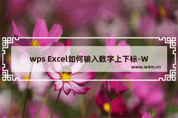 wps Excel如何输入数字上下标-WPS Excel中输入上下标公式的方法