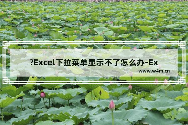 ?Excel下拉菜单显示不了怎么办-Excel表格解决下拉菜单无法显示的方法教程