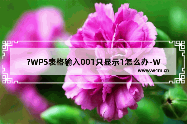 ?WPS表格输入001只显示1怎么办-WPS表格解决输入001变成1的方法教程