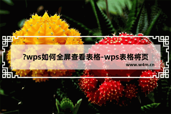 ?wps如何全屏查看表格-wps表格将页面设置为全屏显示的方法