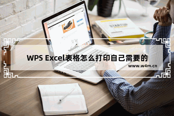 WPS Excel表格怎么打印自己需要的一部分-WPS Excel中设置区域打印数据内容的方法