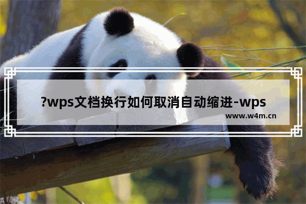 ?wps文档换行如何取消自动缩进-wps文档取消段落自动缩进的方法