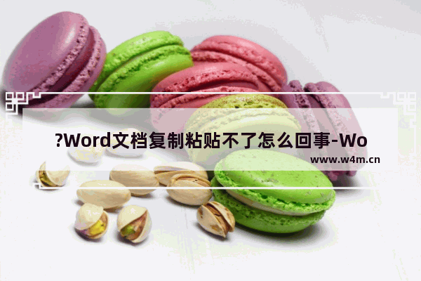 ?Word文档复制粘贴不了怎么回事-Word文档解决无法复制粘贴的方法教程