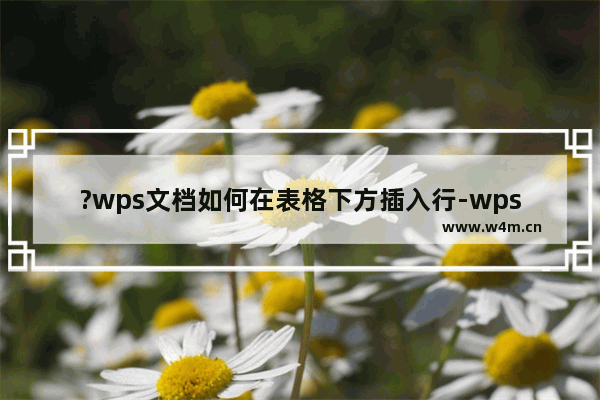 ?wps文档如何在表格下方插入行-wps文档表格添加行的方法