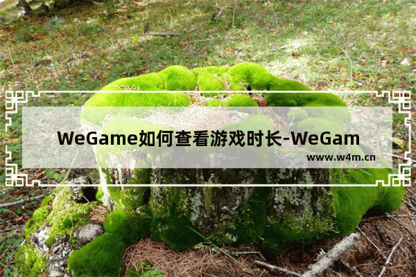 WeGame如何查看游戏时长-WeGame查看游戏时长的方法