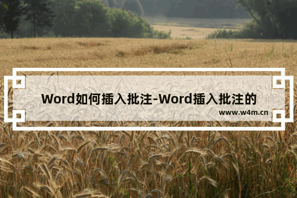 Word如何插入批注-Word插入批注的方法