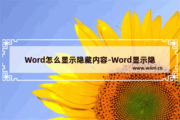 Word怎么显示隐藏内容-Word显示隐藏内容的方法