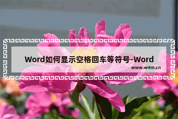 Word如何显示空格回车等符号-Word显示空格回车等符号的方法