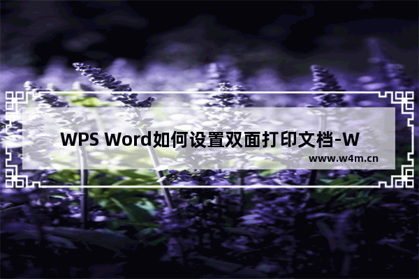 WPS Word如何设置双面打印文档-WPS Word文档设置双面打印的方法