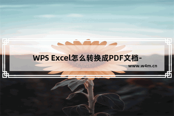 WPS Excel怎么转换成PDF文档-WPS Excel表格输出为PDF文档的方法