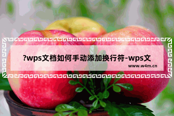 ?wps文档如何手动添加换行符-wps文档添加换行符的方法