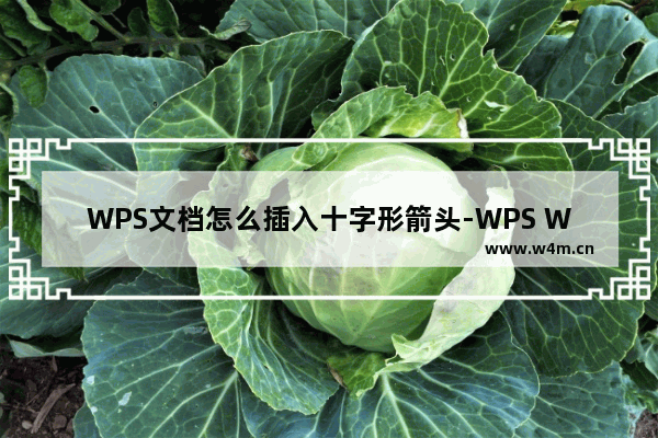 WPS文档怎么插入十字形箭头-WPS Word插入十字箭头图形的方法