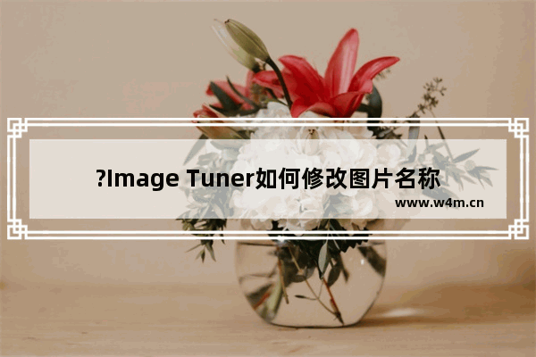 ?Image Tuner如何修改图片名称-?Image Tuner批量重命名图片的方法