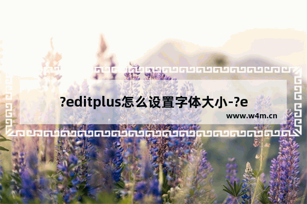 ?editplus怎么设置字体大小-?editplus放大字体的方法