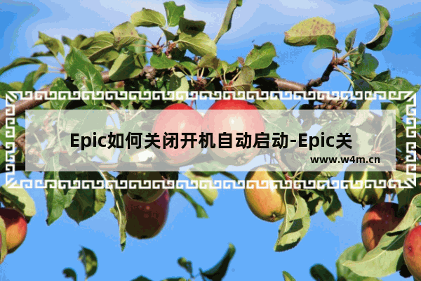 Epic如何关闭开机自动启动-Epic关闭开机自动启动的方法