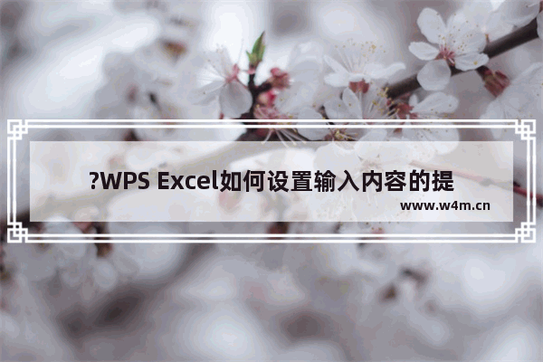 ?WPS Excel如何设置输入内容的提示信息-WPS表格设置输入内容的提示信息的方法教程