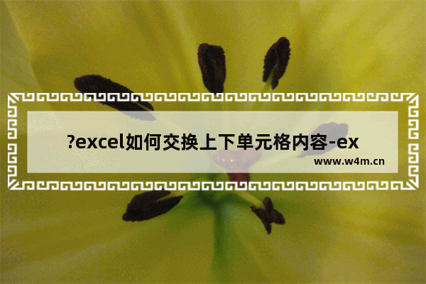 ?excel如何交换上下单元格内容-excel将上方单元格的内容换到下方单元格的方法